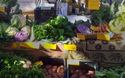 ALIMENTOS DEL CAMPO A LA MESA CON GRUPOS DE CONSUMO. EL AUGE DE HACER LA COMPRA SIN INTERMEDIARIOS